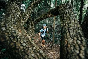 BIB: 
                            <button type="button" onclick="openModal(25392283)" class="btn btn-primary btn-sm float-right btn-popup" data-toggle="modal" data-target=".modal-high-quality">
                        <i class="fas fa-shopping-cart"></i> Add to Cart
                    </button>
                                            <button type="button" onclick="isThisMe(25392283, true)" class="btn btn-success btn-sm float-right btn-popup btn-isme hidden" data-toggle="tooltip" data-placement="bottom" title="นี่คือรูปของคุณใช่ไหม คลิกที่นี่เพื่อเอาเข้าอัลบั้ม">
                        <i class="fas fa-plus"></i> Add to album
                    </button>
                    <button type="button" onclick="isThisMe(25392283, false)" class="btn btn-warning btn-sm float-right btn-popup btn-isnotme hidden">
                        <i class="fas fa-ban"></i> Remove from album
                    </button>